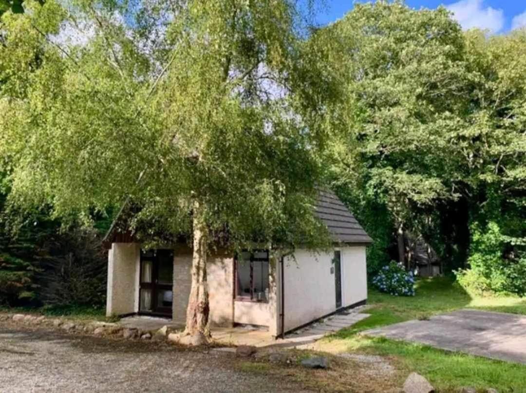 St Ives Bluebell Cottage Esterno foto